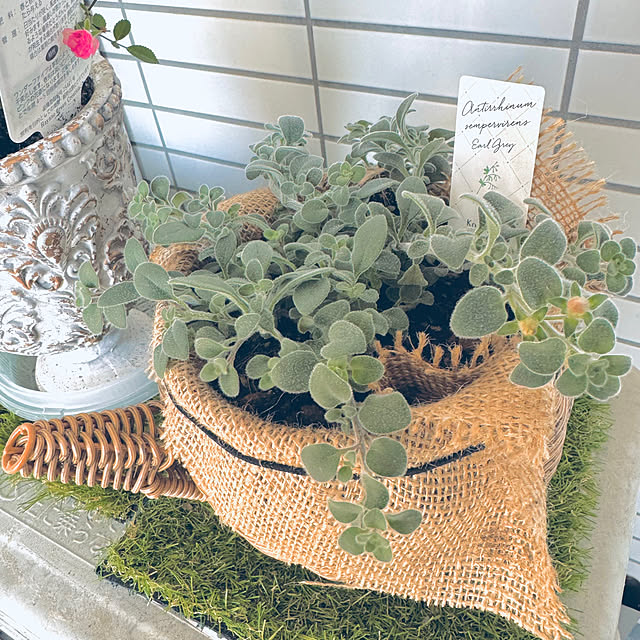 hamahamaさんの実例写真