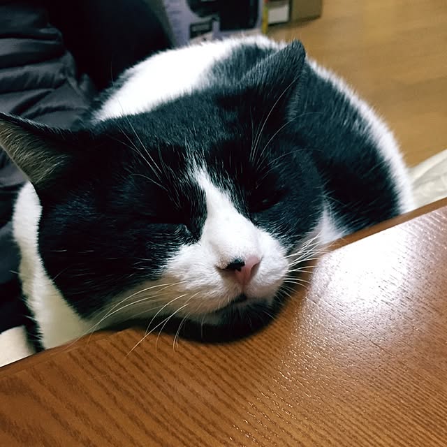 Fumiさんの実例写真