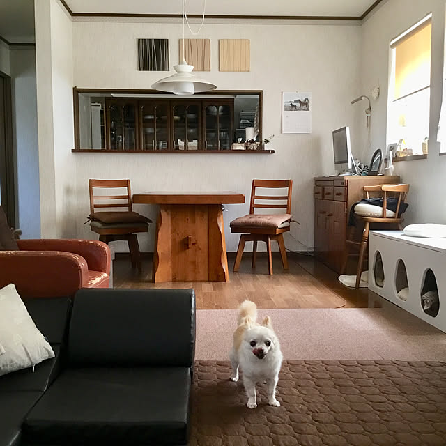 splush1219さんの実例写真