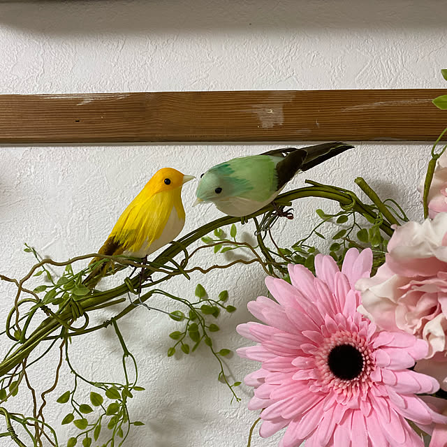 arinkoさんの実例写真