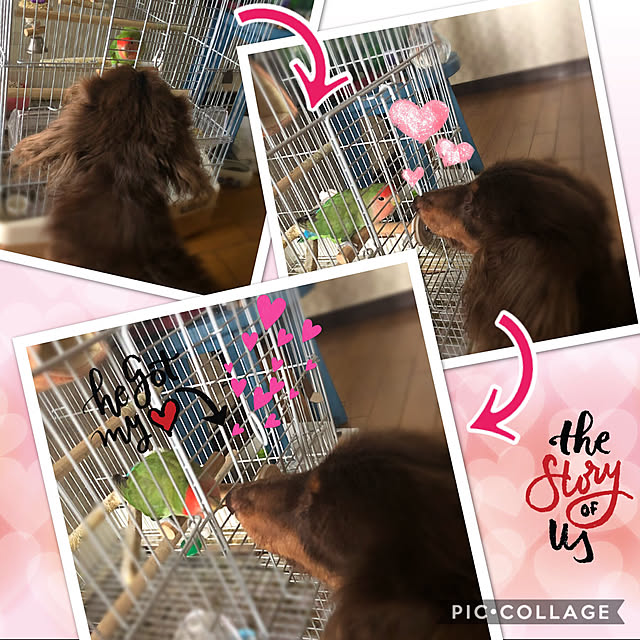 Alohaさんの実例写真
