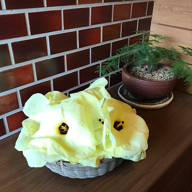 Takenoyaさんの実例写真