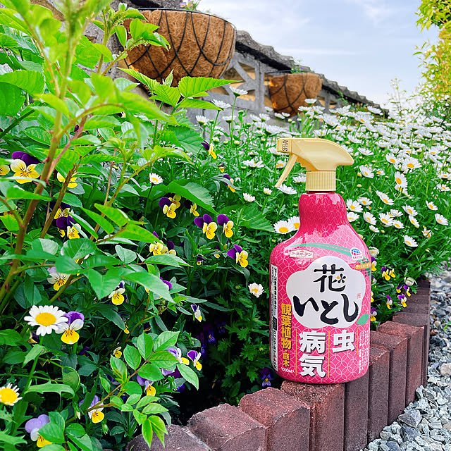 mamさんの実例写真
