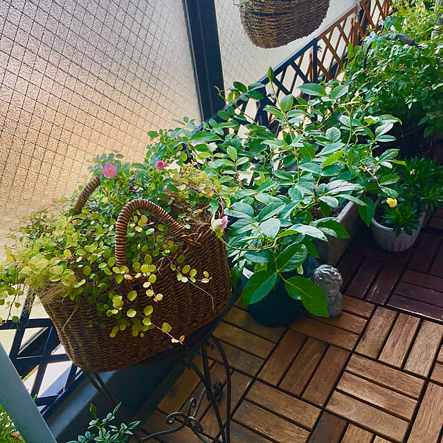 naokoさんの部屋