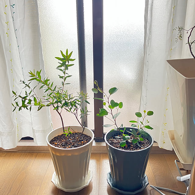 kagomamaさんの実例写真