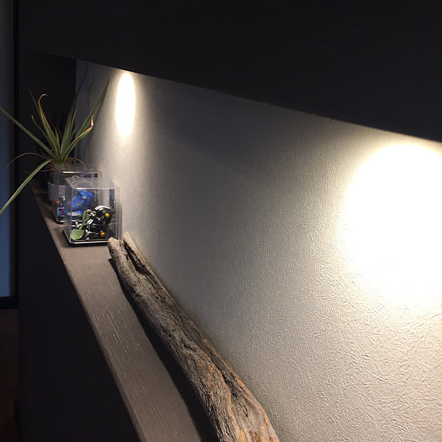 実例写真