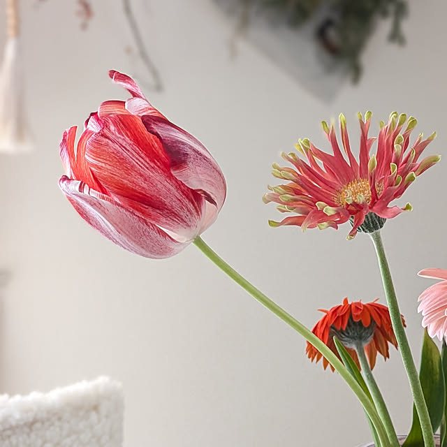 yukkin29さんの部屋