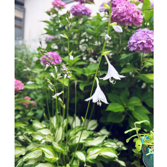 CoCo0617さんの実例写真