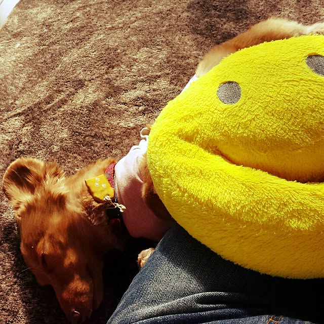 sumireさんの実例写真