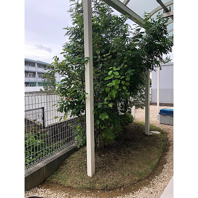 nono.0129さんの実例写真