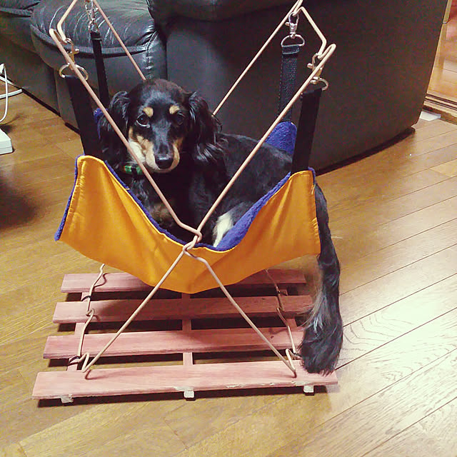 jackieさんの実例写真