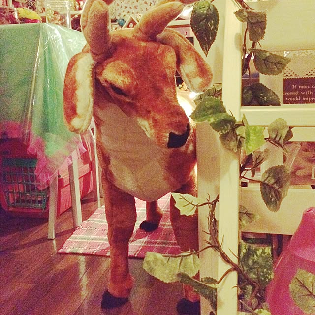 himawariさんの実例写真