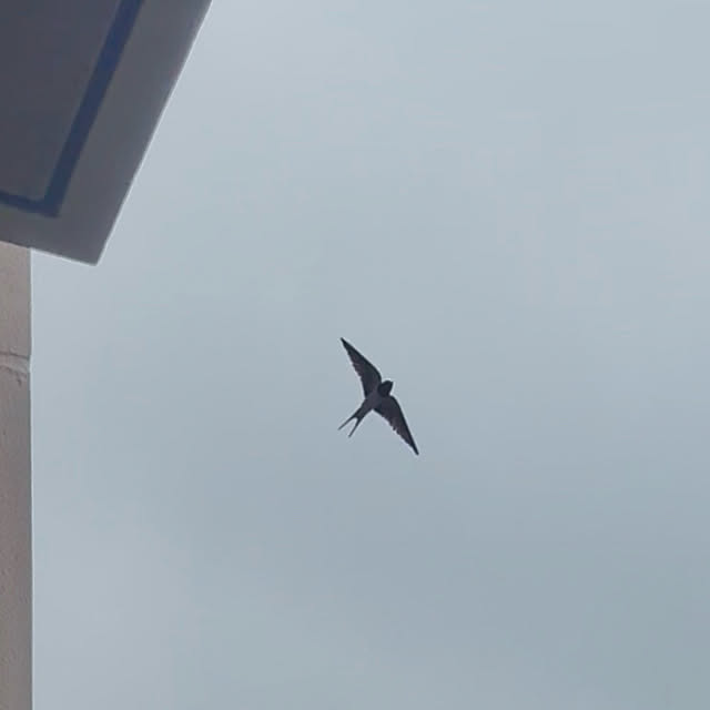 up0524さんの部屋