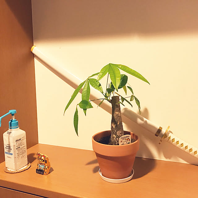 neoさんの実例写真