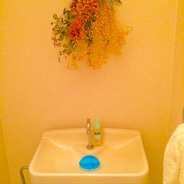 nonchamiさんの実例写真