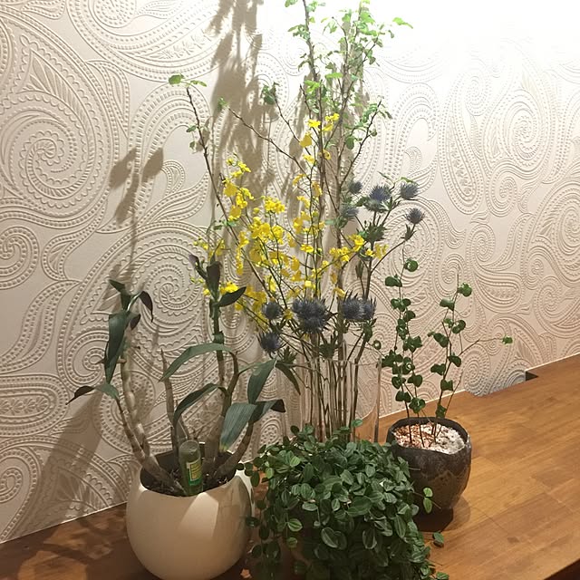 sasatomoさんの実例写真