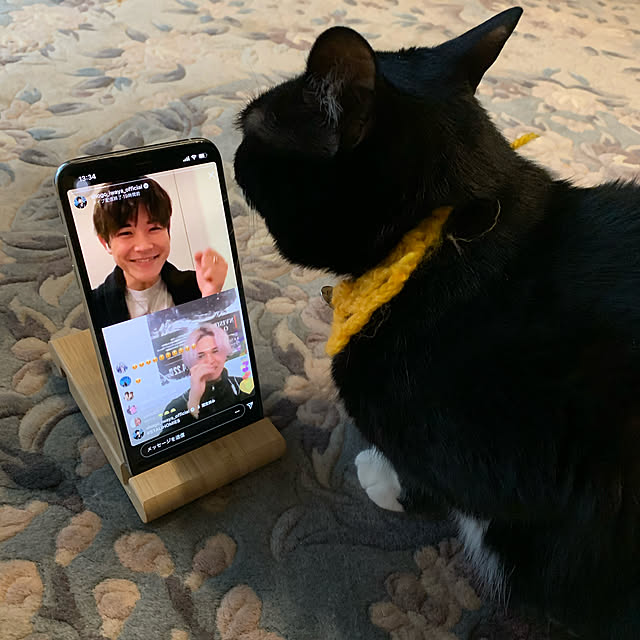 実例写真