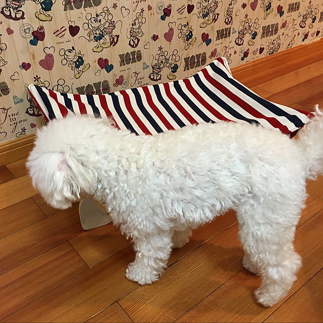kakoさんの実例写真