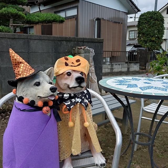 NOAHさんの実例写真