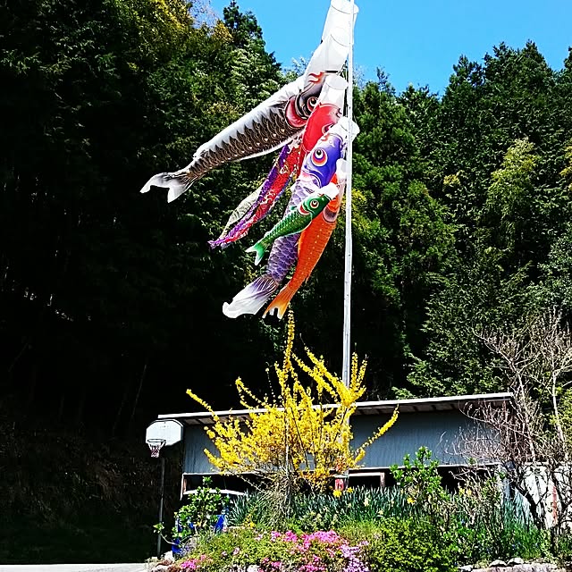 harunaさんの実例写真