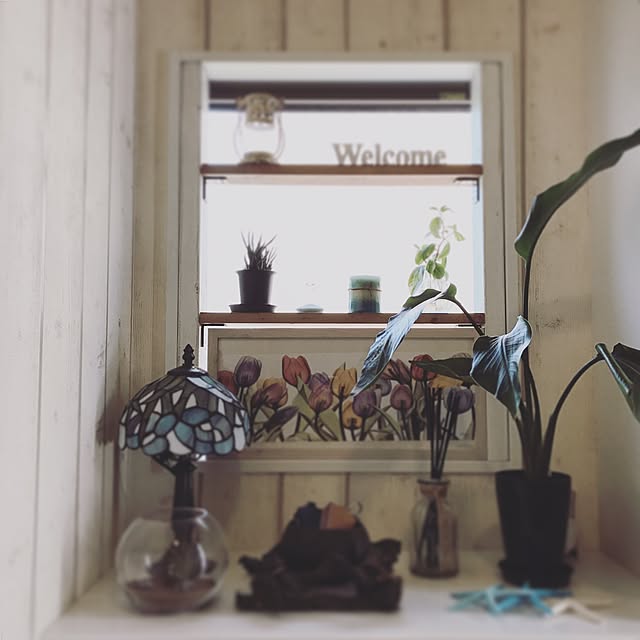 玄関/入り口/観葉植物/アンティーク/ダイソー/DIY...などのインテリア実例 - 2017-06-20 01:02:26
