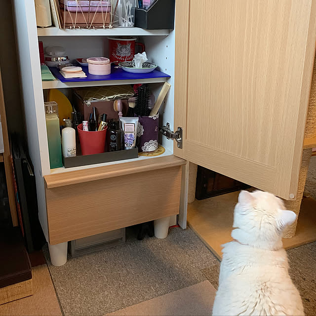 simayaさんの実例写真