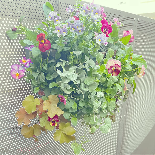 nahonさんの実例写真