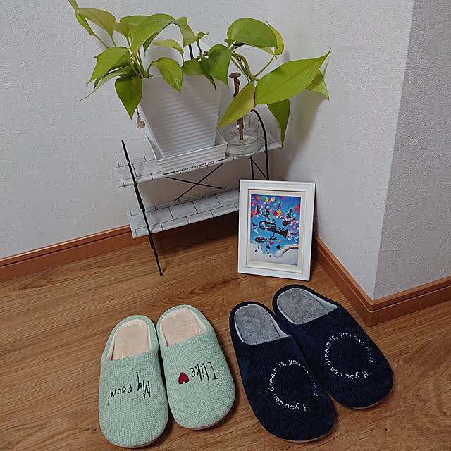 Noriさんの実例写真