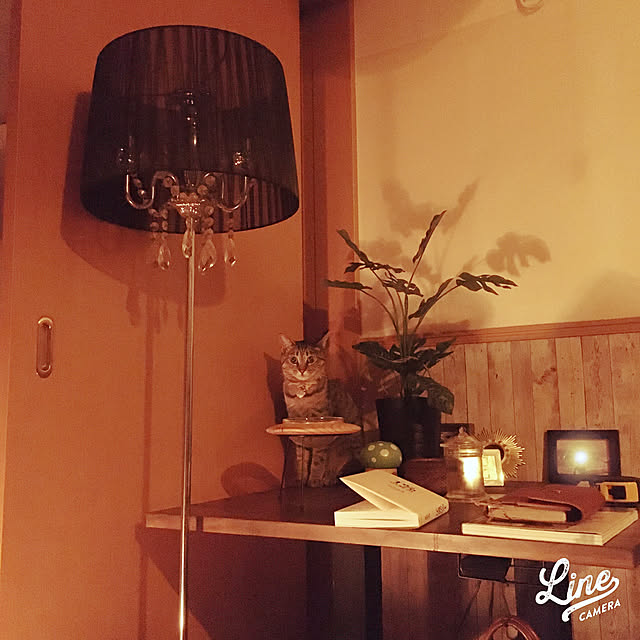 Mさんの実例写真