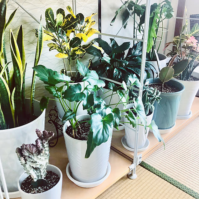 hanachanさんの部屋