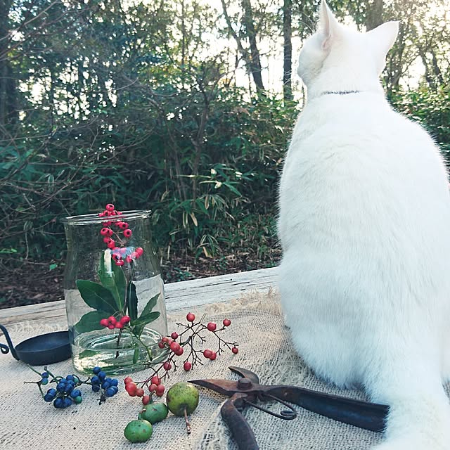 weさんの実例写真