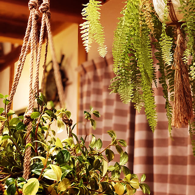 reef_alohaさんの実例写真