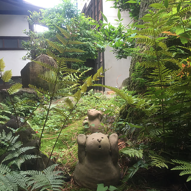 usaginonuikoさんの実例写真