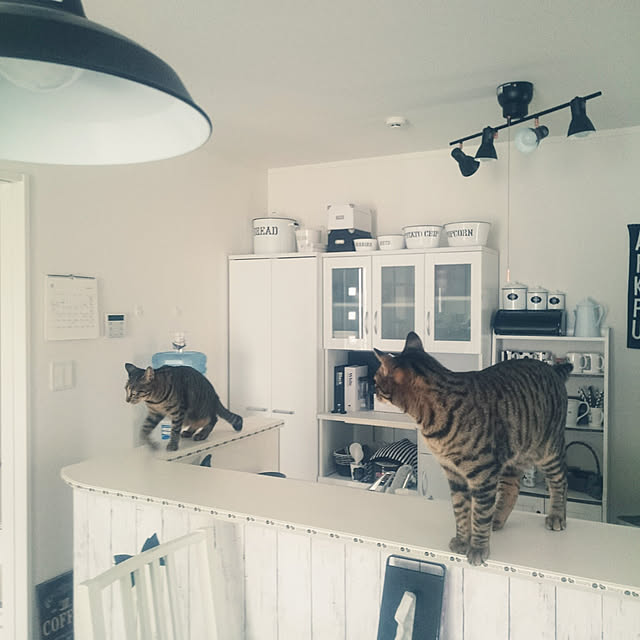 mamaさんの実例写真