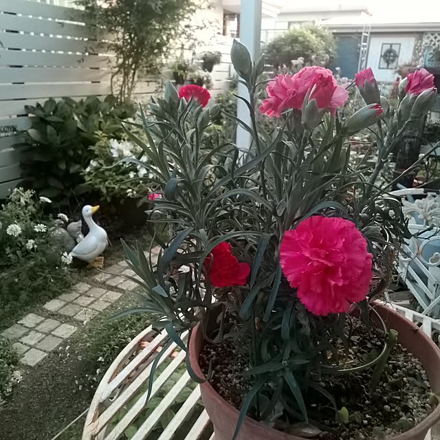 mariagardenさんの実例写真