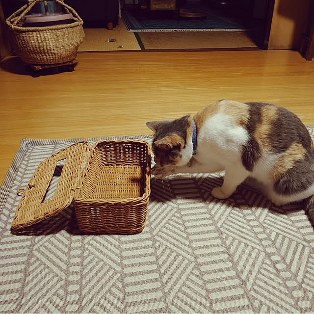 fukuさんの実例写真