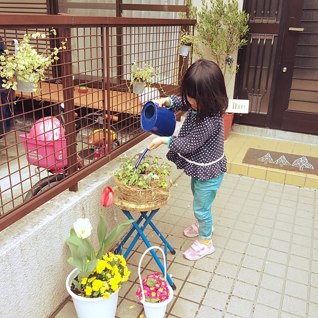 misakokkoさんの実例写真
