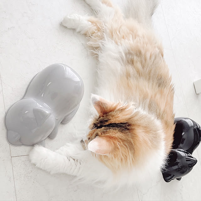 mya___kさんの実例写真