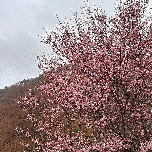 mamichopさんの部屋