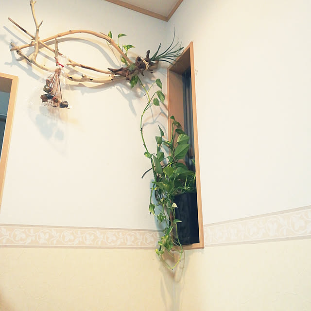rariさんの実例写真