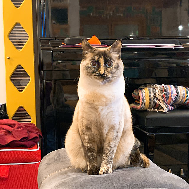 miyaさんの実例写真