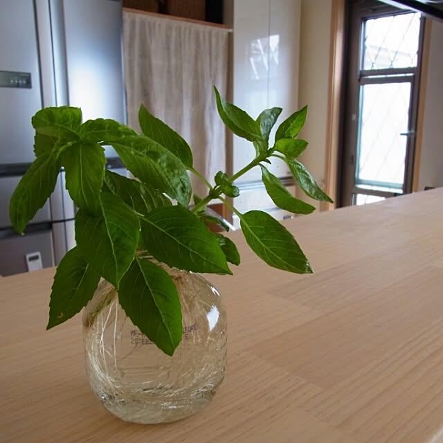 壁/天井/ホタテ漆喰/もみの木の家/しっくいの家/ナチュラル...などのインテリア実例 - 2016-07-15 22:41:23