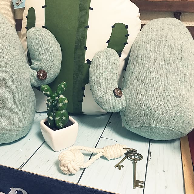 megu0727さんの実例写真