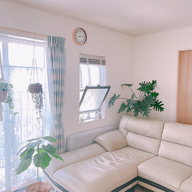 akiko-ovさんの部屋