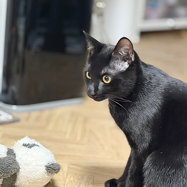 makiさんの実例写真