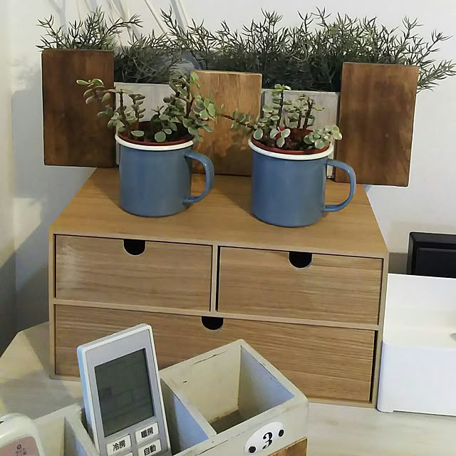 DailyRoomclip