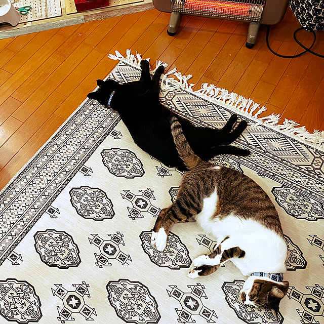 jijiさんの実例写真