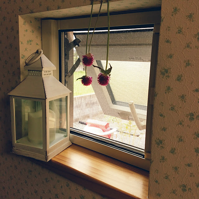 honohonoさんの実例写真