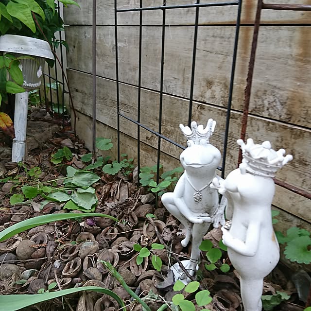 nijintieloveさんの実例写真