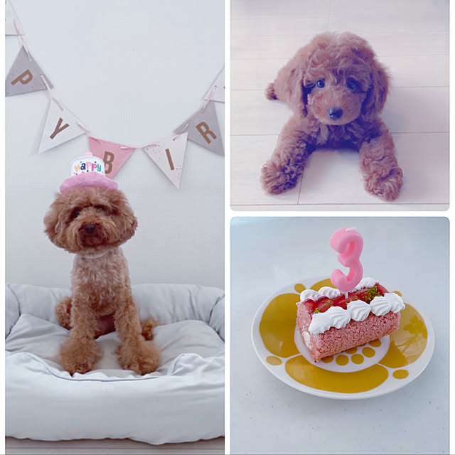 cocoaさんの実例写真